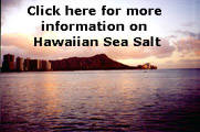 salt information